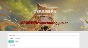 轻松获取无水印小红书美图视频！卓创源码网推荐小红书解析去水印网站源码 - 支持统计&本地接口